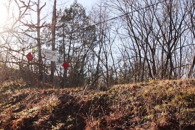 view of local wilderness