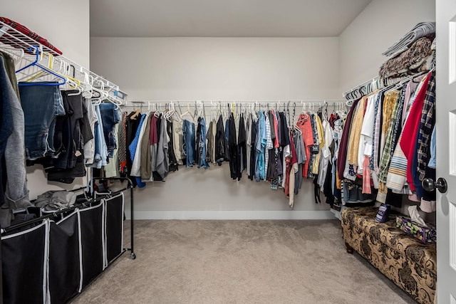 spacious closet with carpet floors