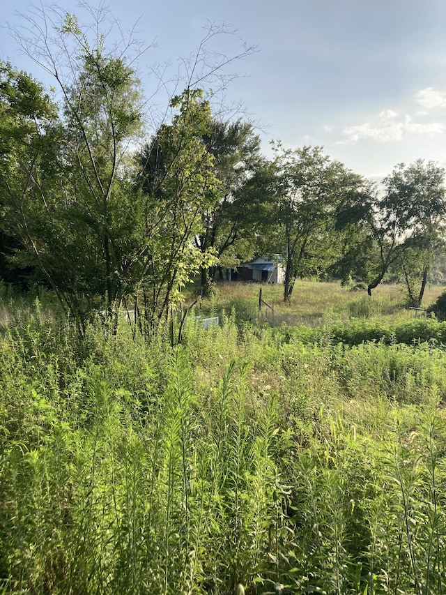 view of landscape