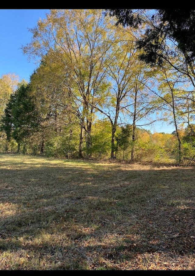 view of local wilderness