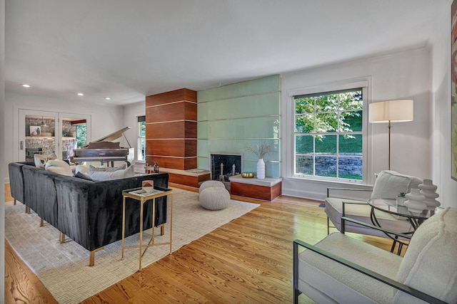 living room featuring a wealth of natural light, a fireplace, and light hardwood / wood-style flooring