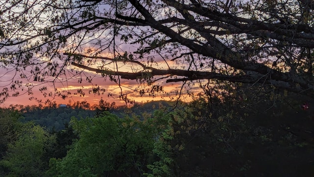 view of nature at dusk