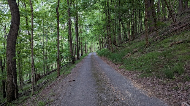 view of road