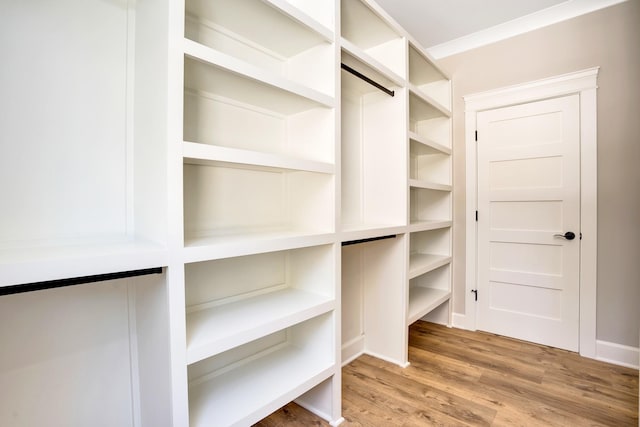 walk in closet featuring wood-type flooring