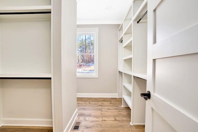 walk in closet with light hardwood / wood-style floors