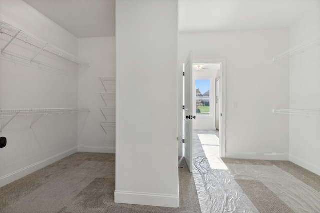 walk in closet with light carpet