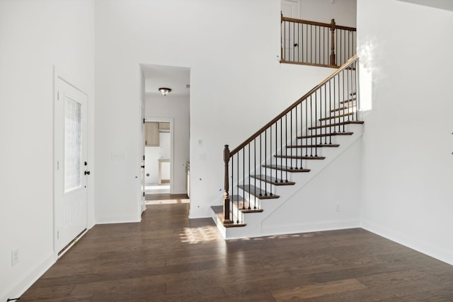 foyer with a towering ceiling and dark hardwood / wood-style flooring