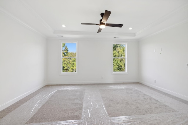 empty room featuring a raised ceiling, ornamental molding, and a healthy amount of sunlight