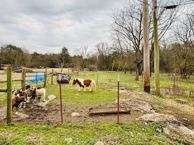 view of yard with a rural view and fence