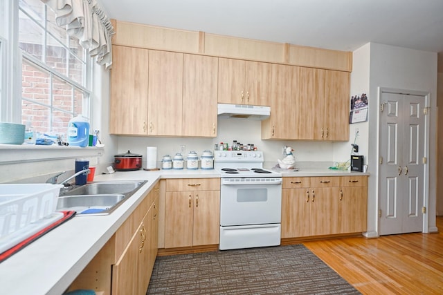 kitchen with hardwood / wood-style flooring, sink, white electric range oven, and light brown cabinets