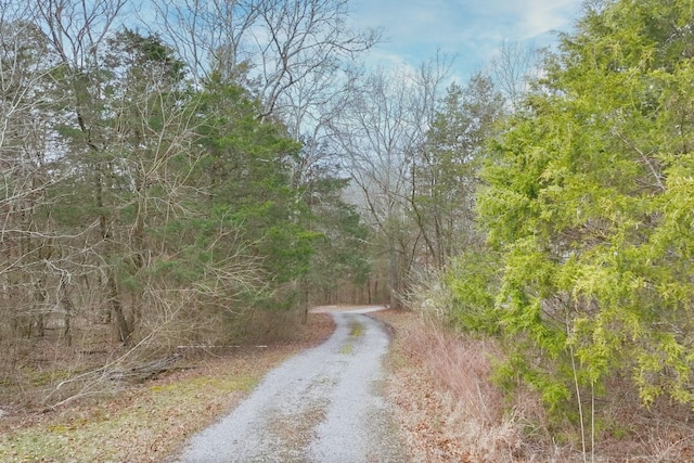 view of road