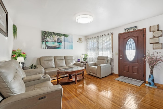 living room featuring light hardwood / wood-style floors