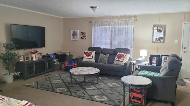 living room with ornamental molding and a textured ceiling