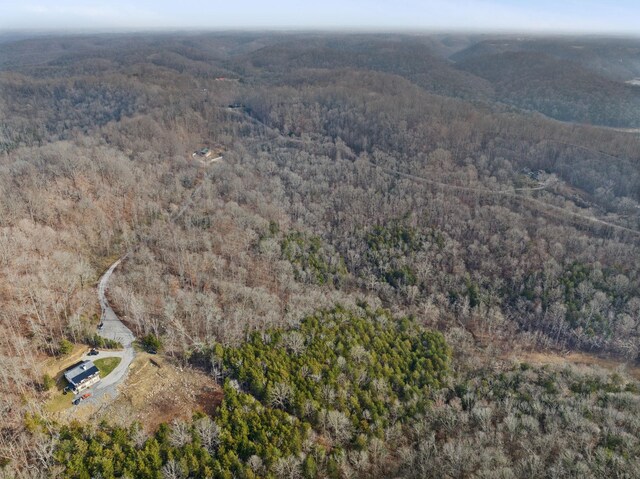0 Park Dr, Silver Point, TN 38582