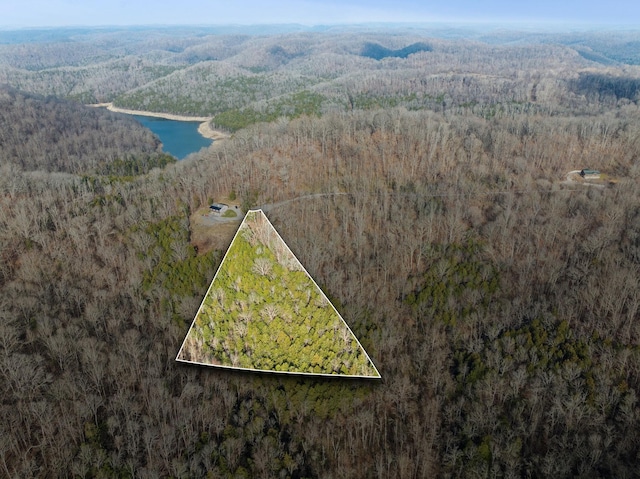 0 Park Dr, Silver Point, TN 38582