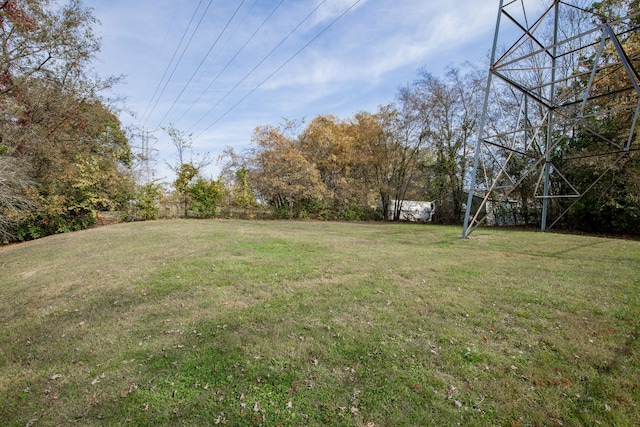 view of yard