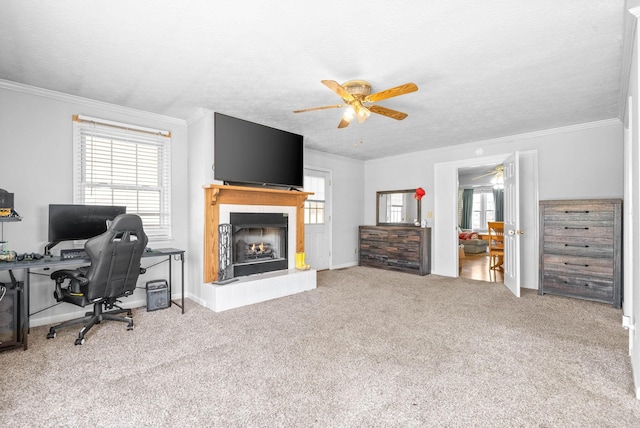 carpeted office with ornamental molding, a textured ceiling, and a wealth of natural light