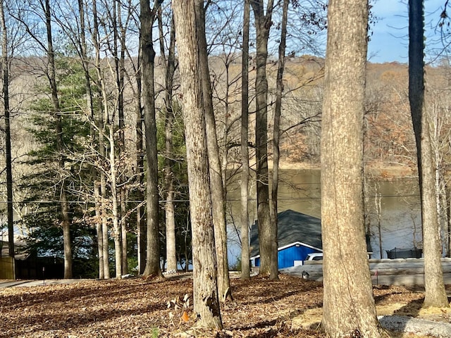 116 Hickman Shores Rd, Dover, TN 37058