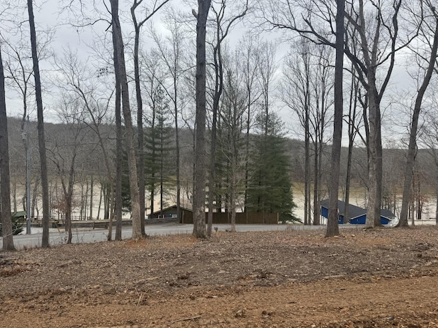 116 Hickman Shores Rd, Dover, TN 37058
