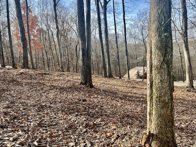 116 Hickman Shores Rd, Dover, TN 37058