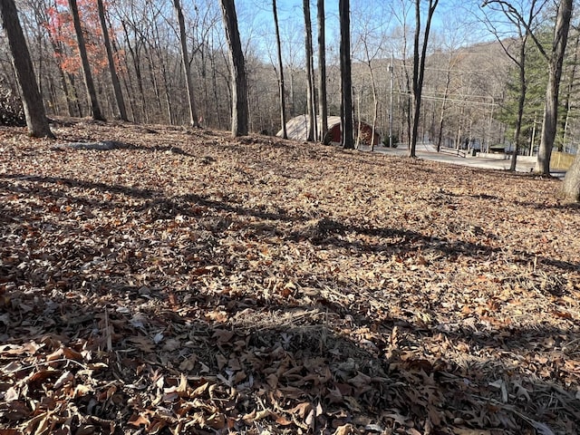 116 Hickman Shores Rd, Dover, TN 37058