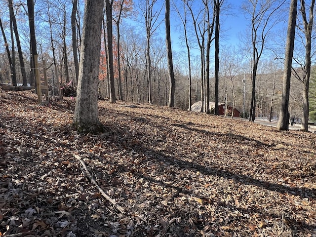 116 Hickman Shores Rd, Dover, TN 37058