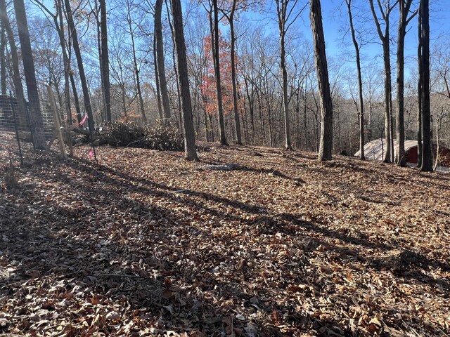 116 Hickman Shores Rd, Dover, TN 37058