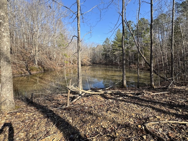 0 Ditney Rdg, Bumpus Mills TN, 37028 land for sale