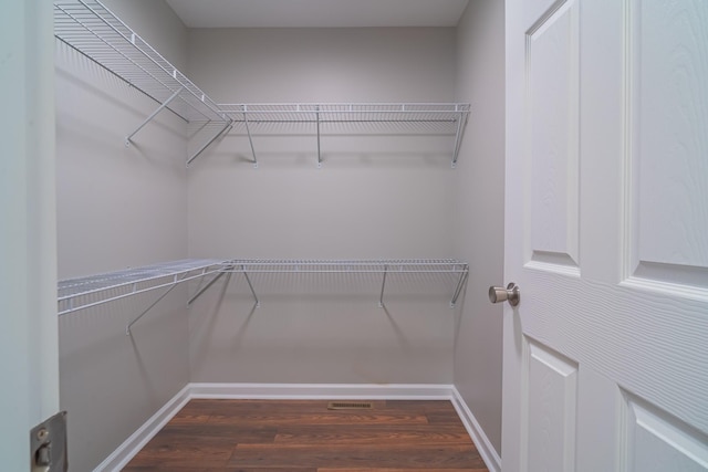 spacious closet featuring dark hardwood / wood-style flooring