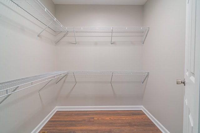 walk in closet with dark hardwood / wood-style floors