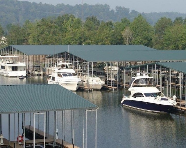 dock area featuring a water view