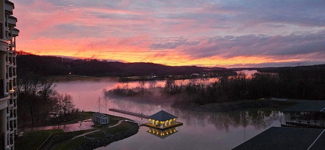 400 Warioto Way Unit 716, Ashland City, TN 37015 - water view with a boat dock