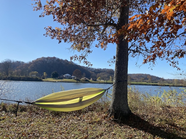 400 Warioto Way Unit 716, Ashland City, TN 37015 - water view