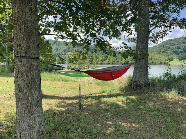 400 Warioto Way Unit 716, Ashland City, TN 37015 - view of grassy yard featuring a water view and a view of trees