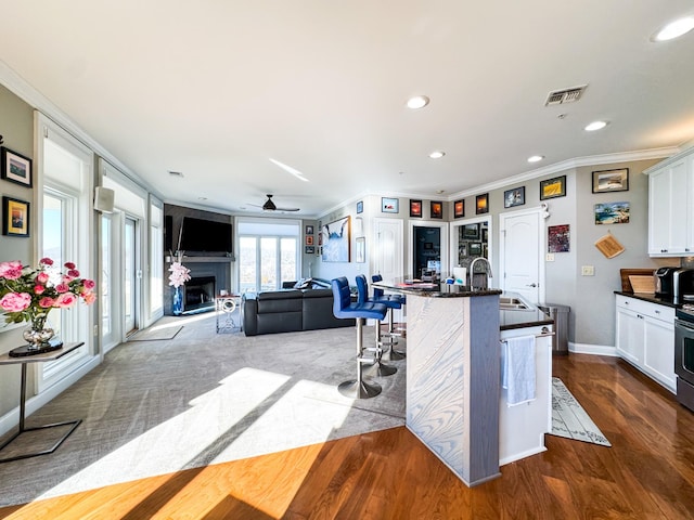 400 Warioto Way Unit 716, Ashland City, TN 37015 - kitchen with a sink, dark countertops, ceiling fan, crown molding, and recessed lighting