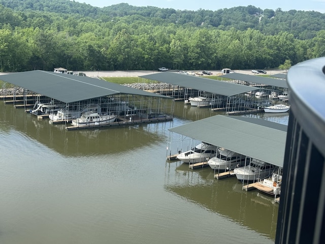 400 Warioto Way Unit 716, Ashland City, TN 37015 - dock with a wooded view and a water view