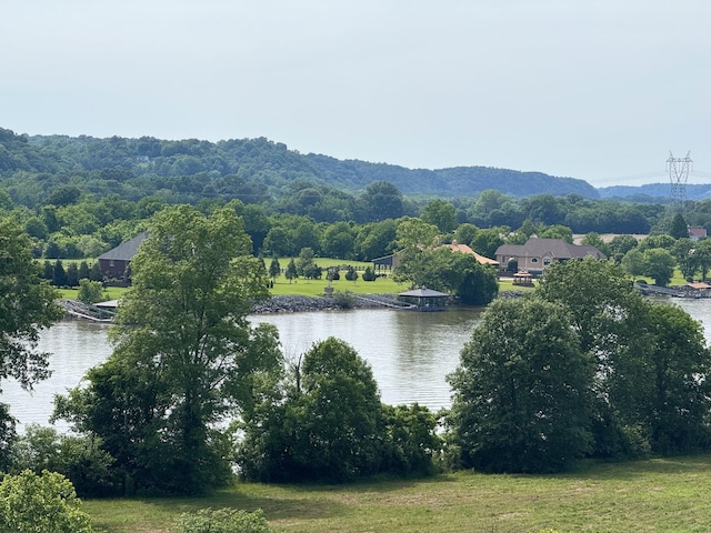 400 Warioto Way Unit 716, Ashland City, TN 37015 - water view featuring a mountain backdrop