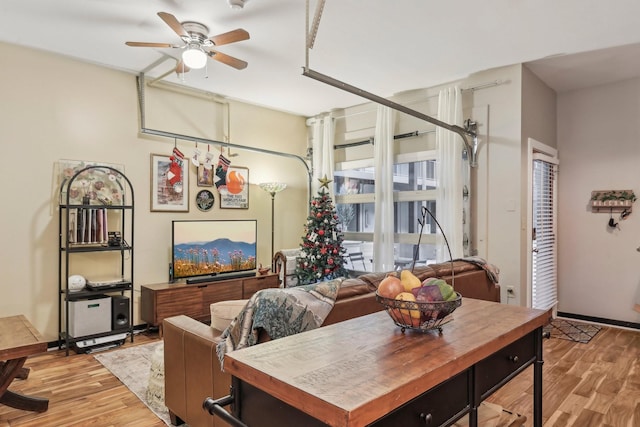 dining space featuring light hardwood / wood-style flooring and ceiling fan