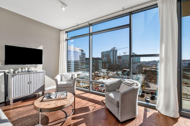 living room with a wall of windows, wood-type flooring, and rail lighting