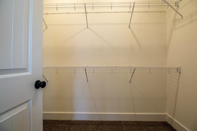 view of walk in closet