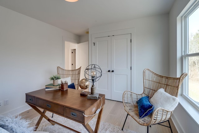 office area featuring light hardwood / wood-style floors and a wealth of natural light