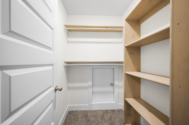 walk in closet with carpet flooring