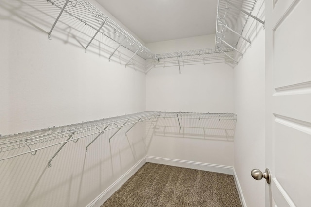 spacious closet with carpet flooring