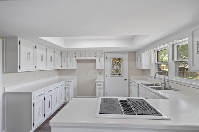 kitchen with black electric stovetop, a tray ceiling, dishwasher, and sink