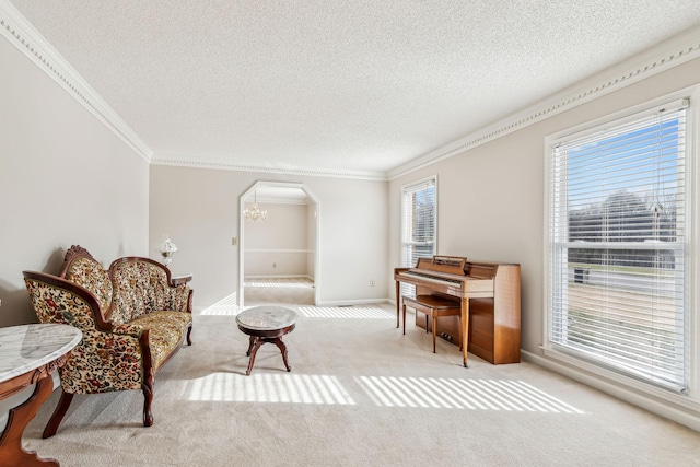 living area featuring ornamental molding, plenty of natural light, light carpet, and a textured ceiling