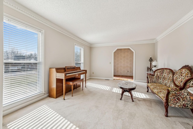 sitting room featuring crown molding, light colored carpet, and a textured ceiling