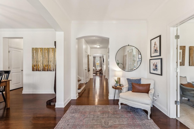 corridor featuring crown molding and dark hardwood / wood-style flooring