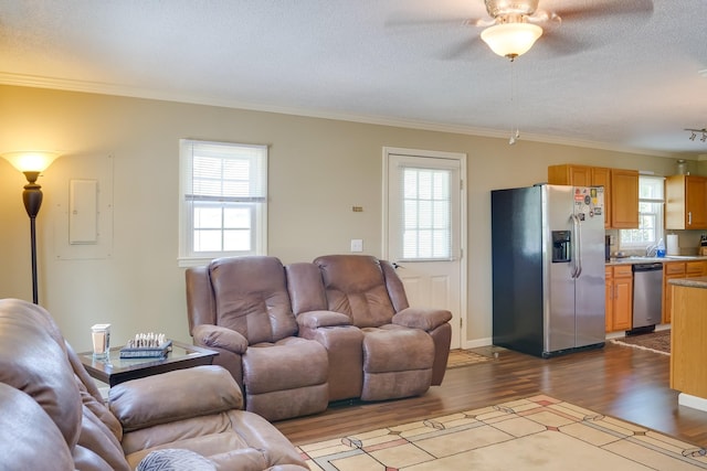 living room featuring crown molding, hardwood / wood-style flooring, electric panel, and a textured ceiling