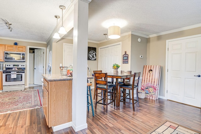 kitchen featuring hanging light fixtures, appliances with stainless steel finishes, dark hardwood / wood-style floors, and light brown cabinetry