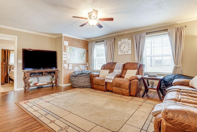 living room featuring ceiling fan, ornamental molding, a textured ceiling, and light wood-type flooring